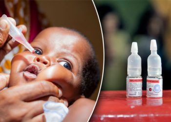 Polio could be used to fight brain tumours