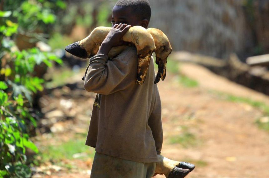 Latest Congo Ebola outbreak is Zaire strain, vaccinations to start