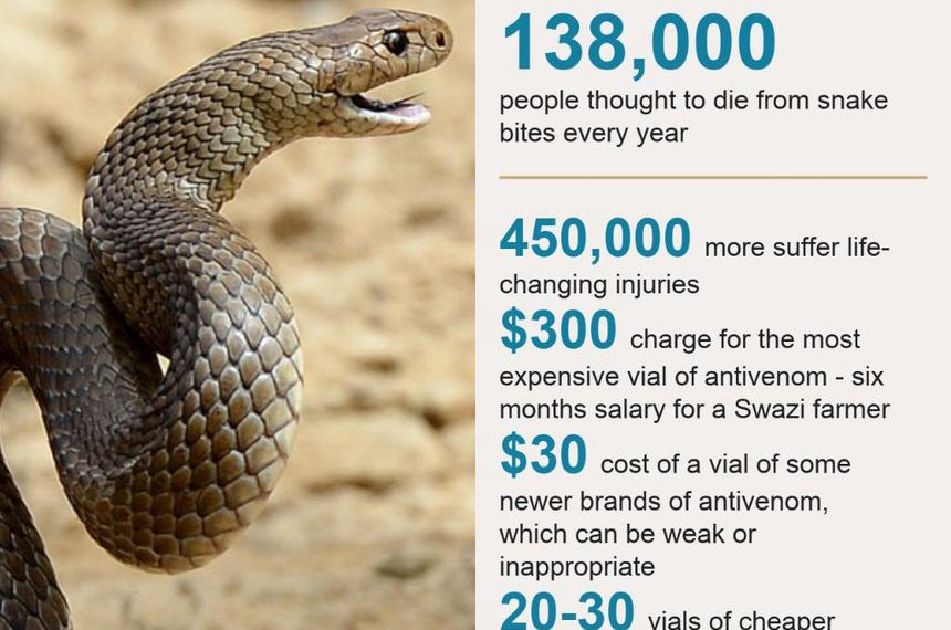 Why are so many people still dying from snake bites?