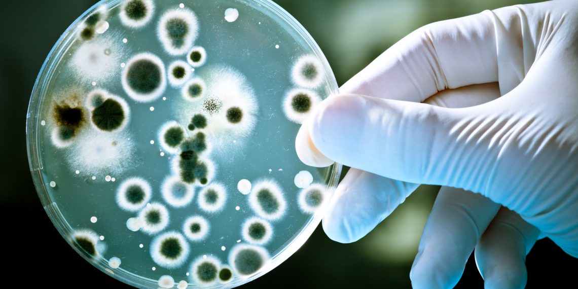 Antimicrobial resistance: Infectious diseases are fighting back
