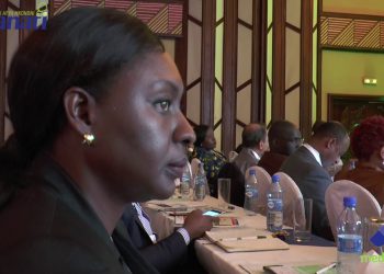 AHBS: African health ministers discuss how to work with the private sector