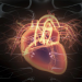 Heart scan ‘could pick up signs of sudden death risk’