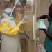 WHO confirms a case of Ebola in Uganda