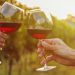 Why red wine could be good for your gut – in moderation