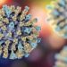 Could relatives of measles virus jump from animals to us?