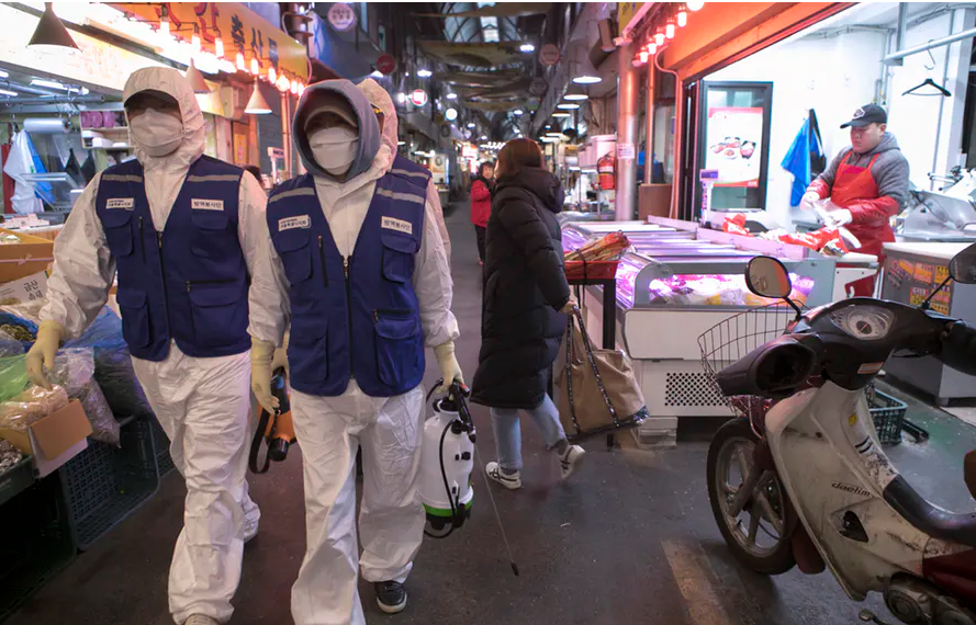 How false information fuels fear during disease outbreaks