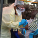 The coping mechanisms the DRC is putting in place as it faces Ebola, measles and COVID-19