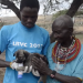 Lessons from a community-driven rabies vaccination campaign in Kenya