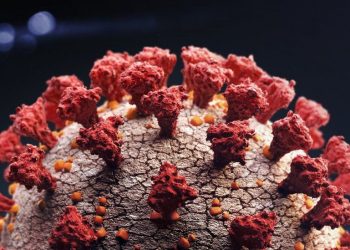 UK finds more coronavirus cases with ‘concerning’ mutations