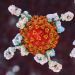 Coronavirus is evolving but so are our antibodies