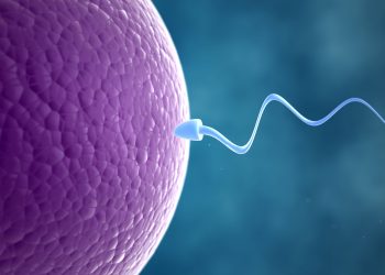 Infertility affects 1 In 6 people globally – WHO
