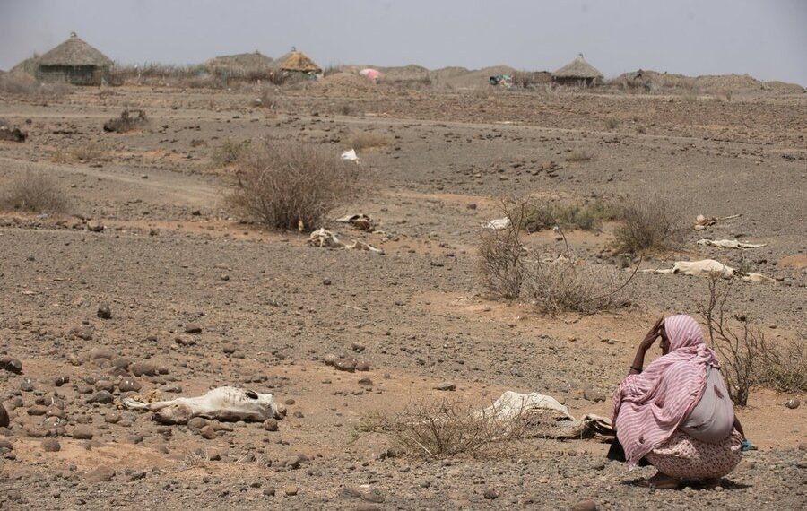 Rich nations paid less than 5 percent of the $53.3 billion East Africa needs to confront the climate crisis