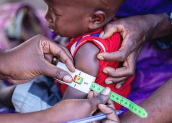 1 in 4 children live in severe child food poverty, says UNICEF