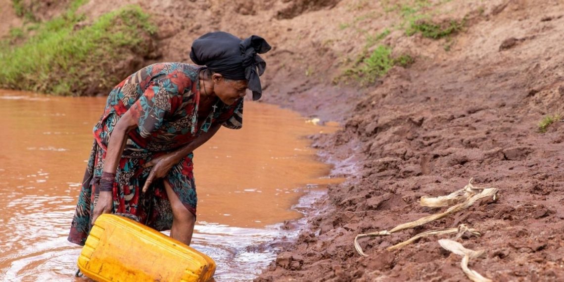 LVCT Health Urges Integration of Female Genital Schistosomiasis care into Kenya’s Sexual and Reproductive Health Services