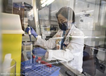 CEPI, WHO Call for Swift Global Research to Prepare for Future Pandemics