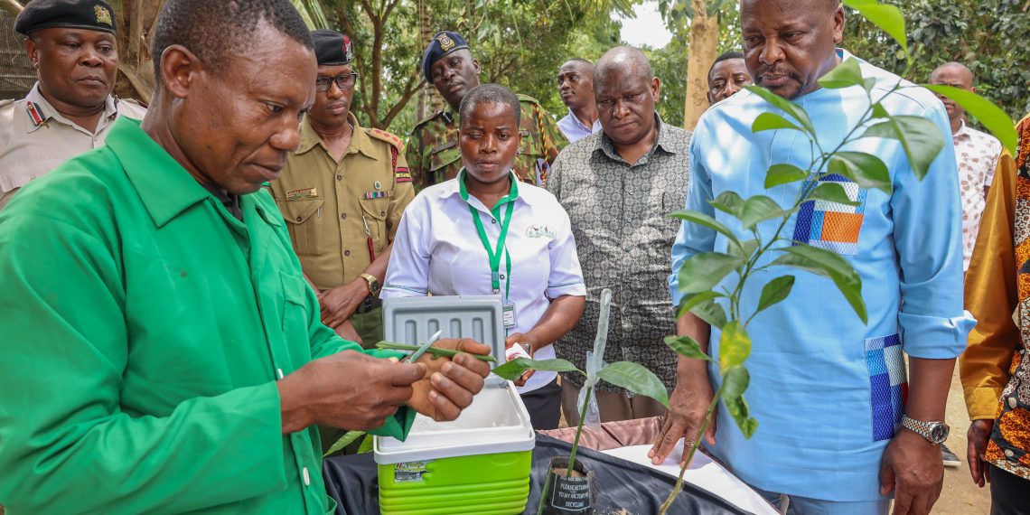 Kagwe: Kenya Must End KSh 5 Billion Egg Import Bill