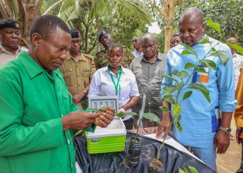 Kagwe: Kenya Must End KSh 5 Billion Egg Import Bill